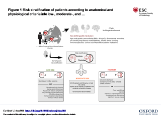 Risk stratification of patients according to anatomical and physiological condition